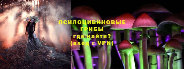 дмт Верхний Тагил