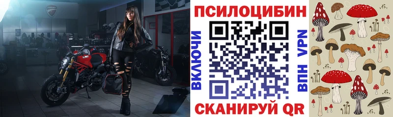 блэк спрут сайт  Екатеринбург  Псилоцибиновые грибы Psilocybine cubensis 